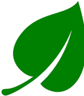 cropped-png-transparent-green-leaf-computer-icons-green-leaf-green-leaf-icon-leaf-plant-stem-grass-thumbnail-removebg-preview.png cropped-png-transparent-green-leaf-computer-icons-green-leaf-green-leaf-icon-leaf-plant-stem-grass-thumbnail-removebg-preview.png